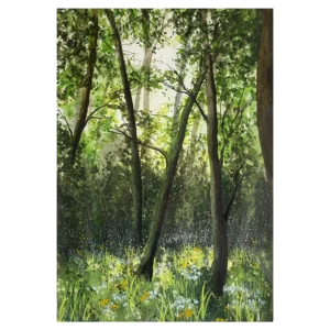 'Suffolk Woodland'. Original painting