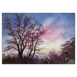 'Suffolk Sunrise'. Fine art prints by Mel Sharp