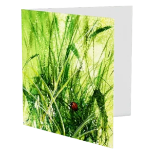 'Lady in Red'. An art card by Mel Sharp