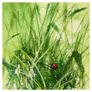 'Lady in Red'. A fine art print by Mel Sharp