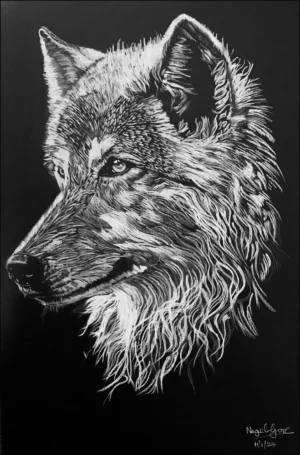'The Wise Wolf', Nigel Gore.
