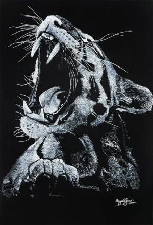 'The Wildcat'. by Nigel Gore.