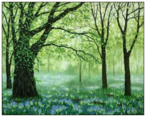 'Roddlesworth Bluebells' , Mike Lord. Original unframed painting.