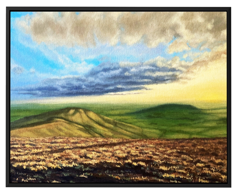 'Trough of Bowland'. Black framed canvas print by Mike Lord.