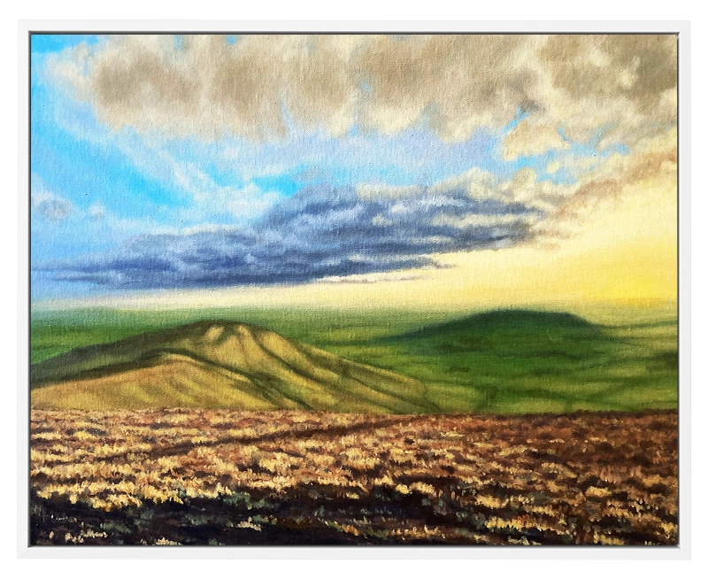 'Trough of Bowland'. White framed canvas print by Mike Lord.