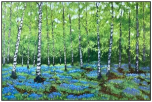 'Bluebells and Silver Birch' by Mike Lord
