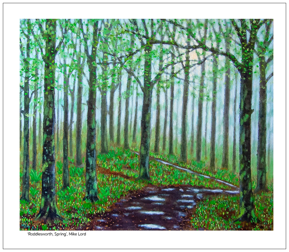 'Roddlesworth Spring', Mike Lord. Unframed fine art print.