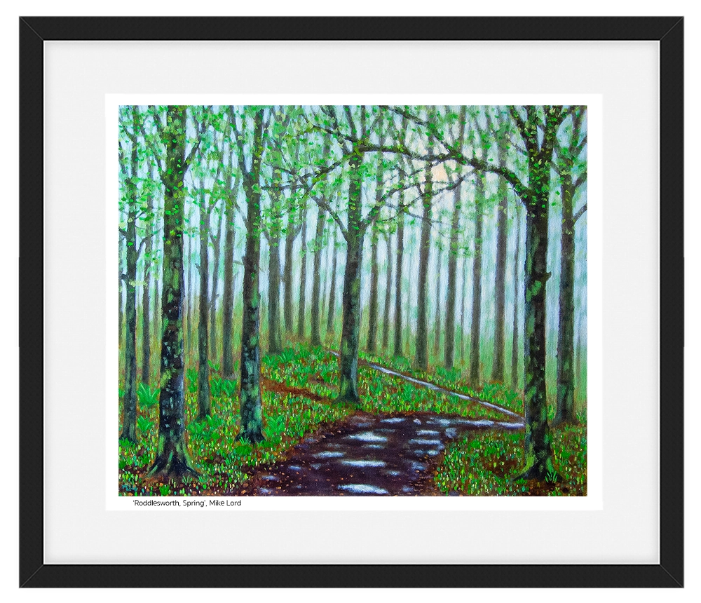 'Roddlesworth Spring', Mike Lord. Black framed fine art print.