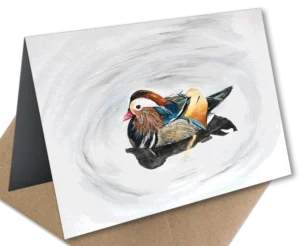 mandarin-duck-card-front