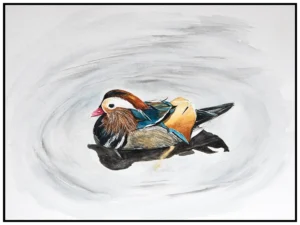 mandarin-duck-original by helen worthington