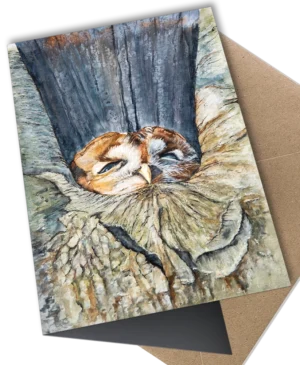 sleepy-owl-card-front