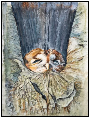 sleepy-owl-original by helen worthington