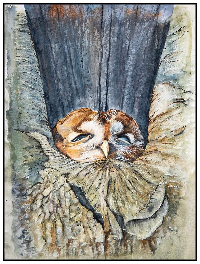 sleepy-owl-original by helen worthington