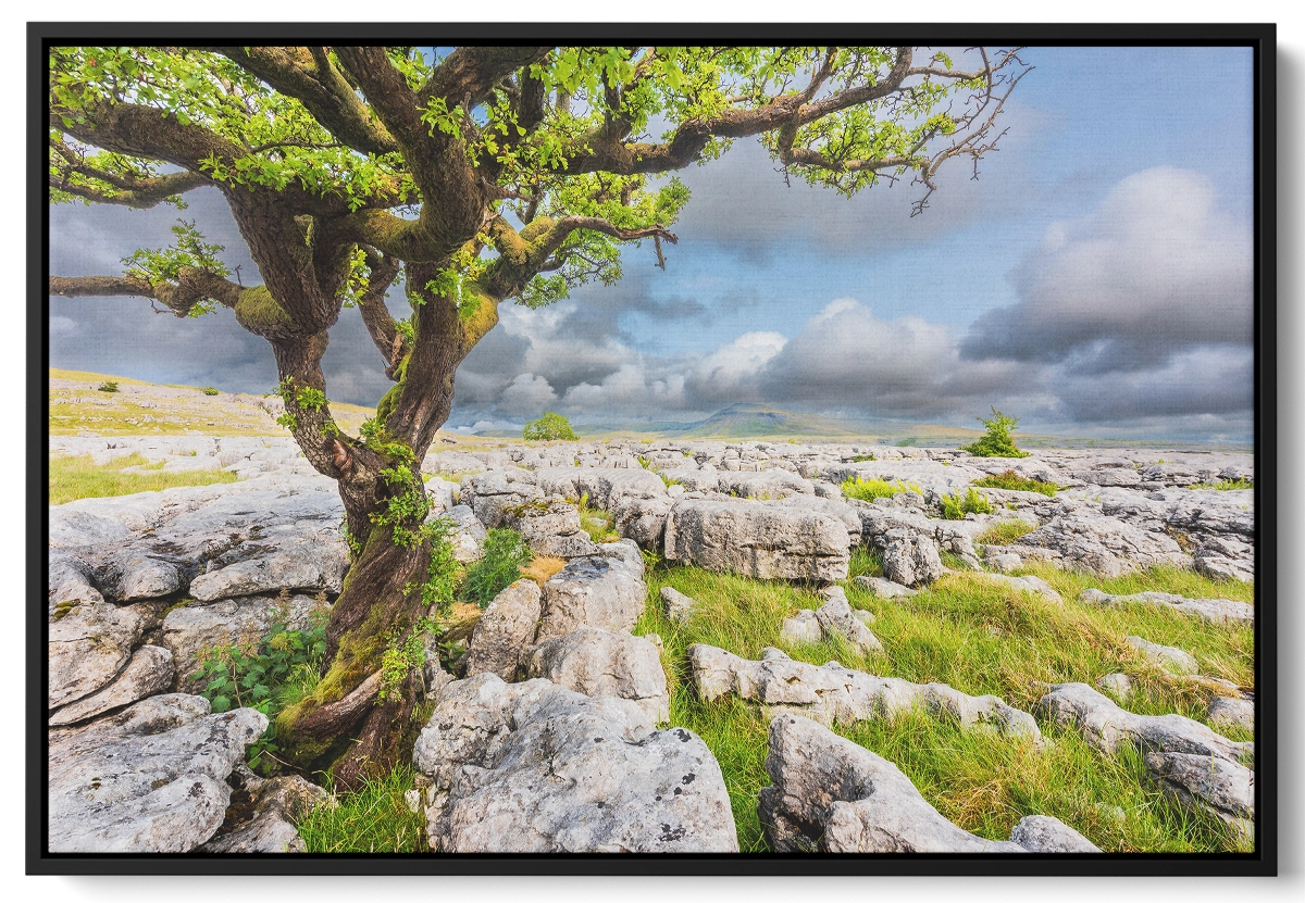 'Twistleton Scar', Yorkshire Dales' Stephen Knowles. Mounted Fine Art Prints, Framed Canvas Wall Art & Art Cards. - Image 5