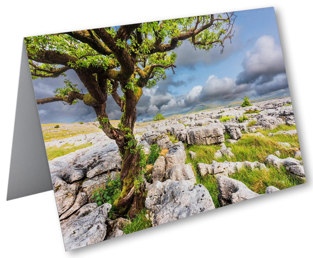 'Twistleton Scar', Yorkshire Dales' Stephen Knowles. Mounted Fine Art Prints, Framed Canvas Wall Art & Art Cards. - Image 6