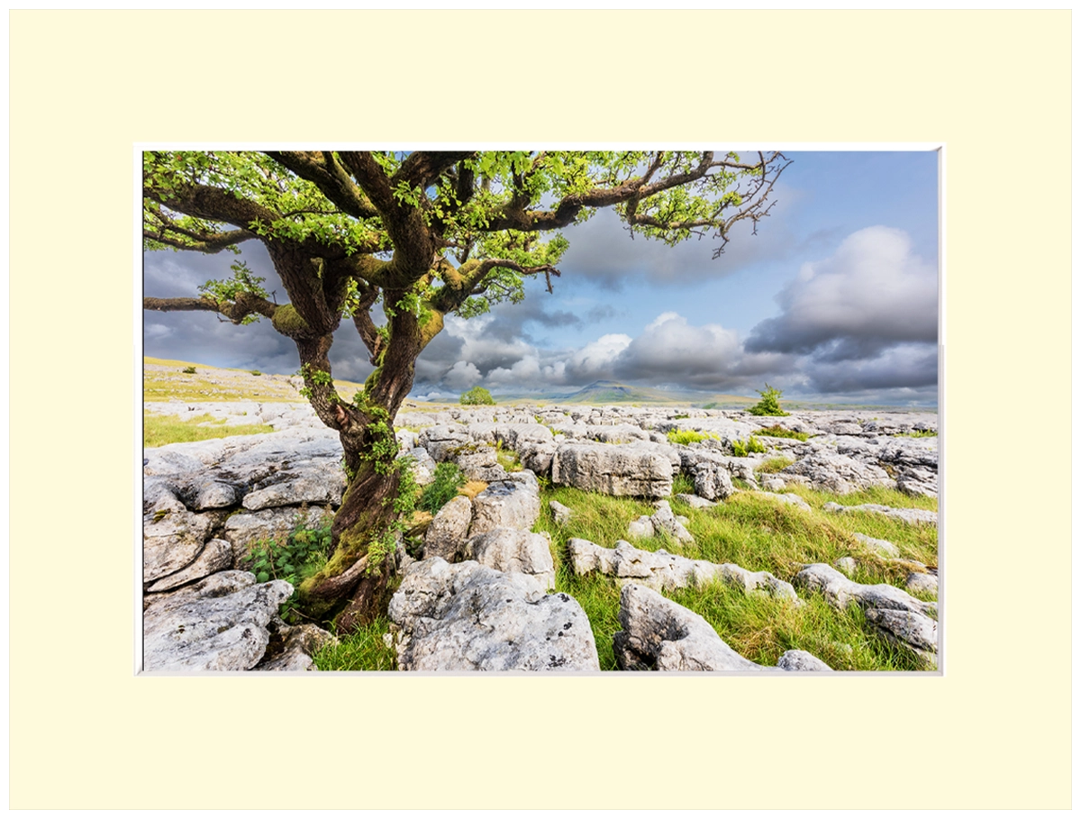 'Twistleton Scar', Yorkshire Dales' Stephen Knowles. Mounted Fine Art Prints, Framed Canvas Wall Art & Art Cards. - Image 2