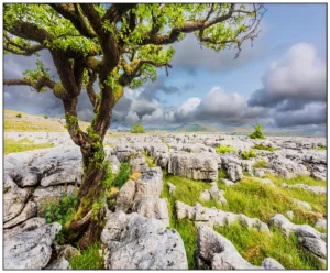 'Twistleton Scar, Yorkshire Dales', Stephen Knowles.