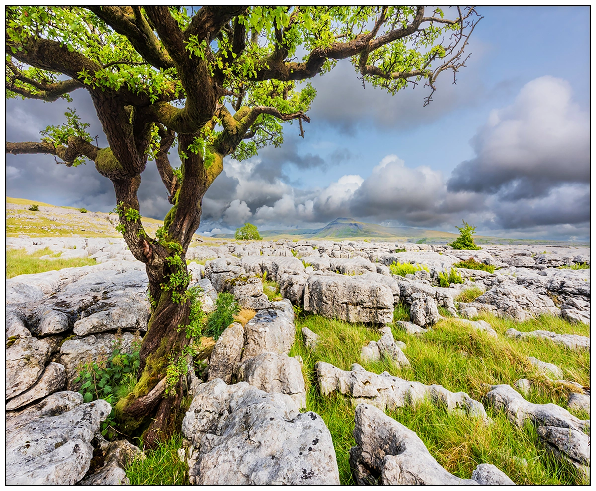 'Twistleton Scar, Yorkshire Dales', Stephen Knowles.