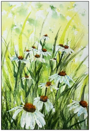 'Daisies'. Art prints by Mel Sharp.