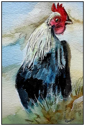 'Black Tailed Rooster' Pam Wakefield Original
