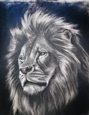 'Lion', Natalie Heslin. An original charcoal drawing.