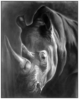 'Rhino', Natalie Heslin.