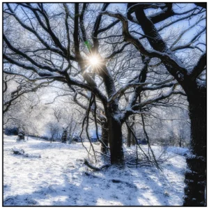 'A Sunny Winter's Day in Rivington' David Ruaux Original Photo