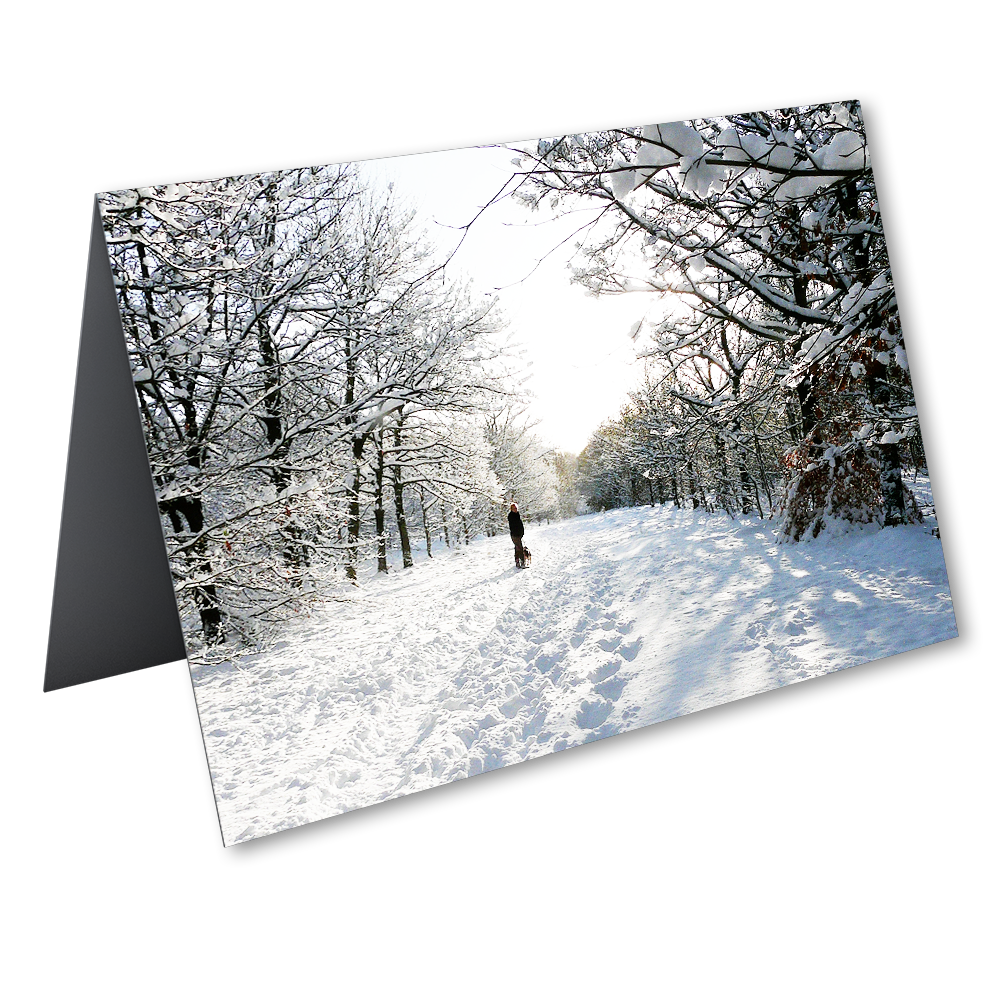 'Snowy Winter Walk' David Ruaux Artcard Photo