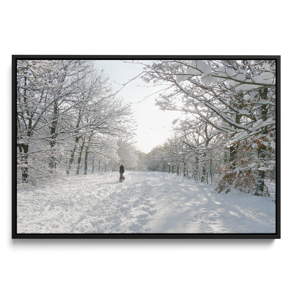 'Snowy Winter Walk' David Ruaux Black Framed Canvas Photo