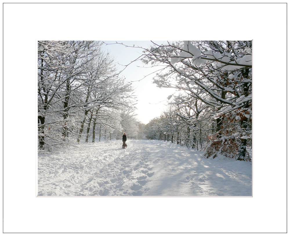 'Snowy Winter Walk' David Ruaux Mounted Photo