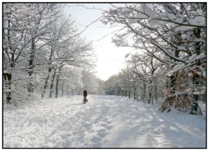 'Snowy Winter Walk' David Ruaux Original Photo