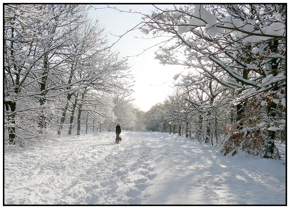 'Snowy Winter Walk' David Ruaux Original Photo