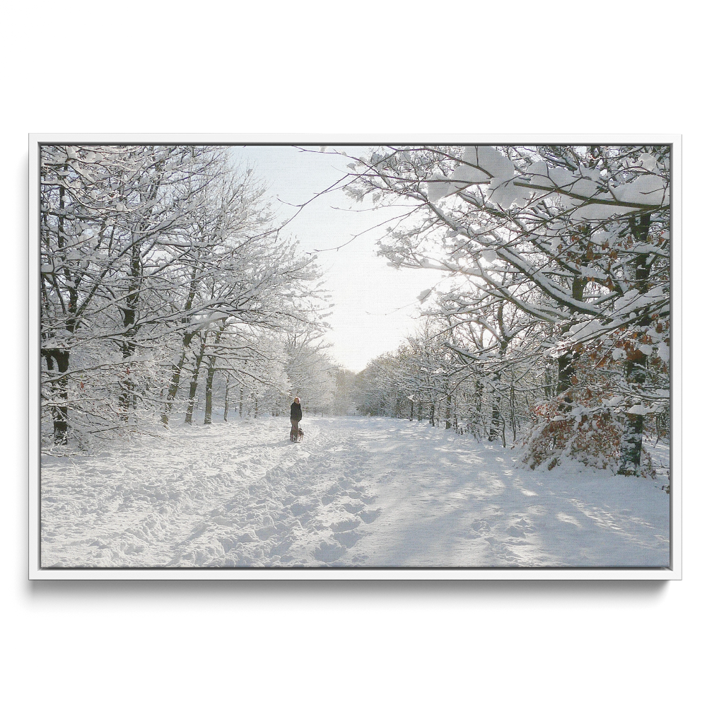 'Snowy Winter Walk' David Ruaux White Framed Canvas Photo