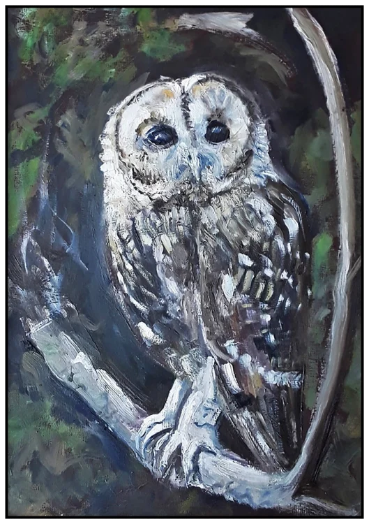 'Tawny Owl In The Woods' Pam Wakefield Original Painting