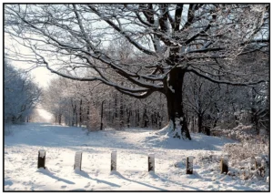 'Towards Gilsbrook, Rivington' David Ruaux Original Photo