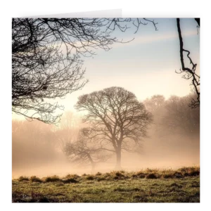 'Winter Morning, Rivington' David Ruaux Artcard Photo