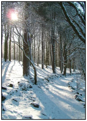 'Winter by the Lake' David Ruaux Original Photo