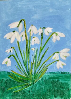 'Snowdrops'