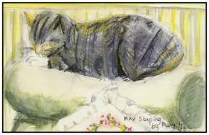 'Max Sleeping' Mary Rudkin.