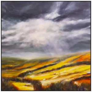 'Ribble197', Lita Narayan