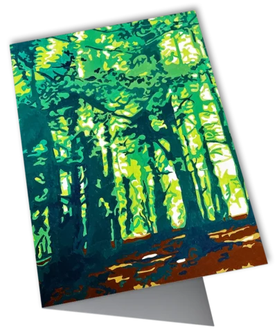 Harried Rigby 'Rivington Trees' Harry Rigby. | New Art Gallery