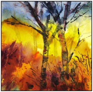 'Silver Birch', Rosie Rimmer.