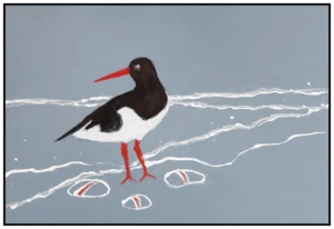 'Oyster Catcher', Rosie Rimmer.