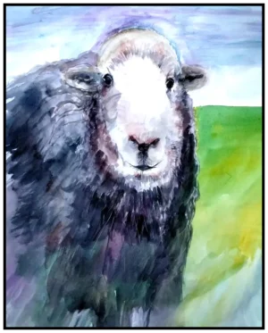 'Hazel the Herdwick', Pam Wakefield