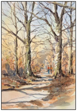 'Woodland Walk', Gerry Halpin.